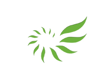 康欣新（xīn）材料