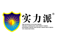 實力（lì）肥料（liào）