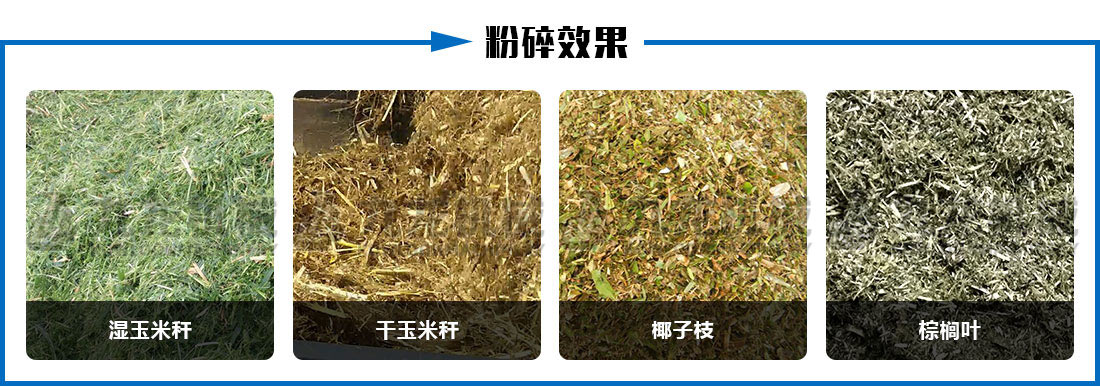 秸稈青貯（zhù）粉碎機粉碎效果